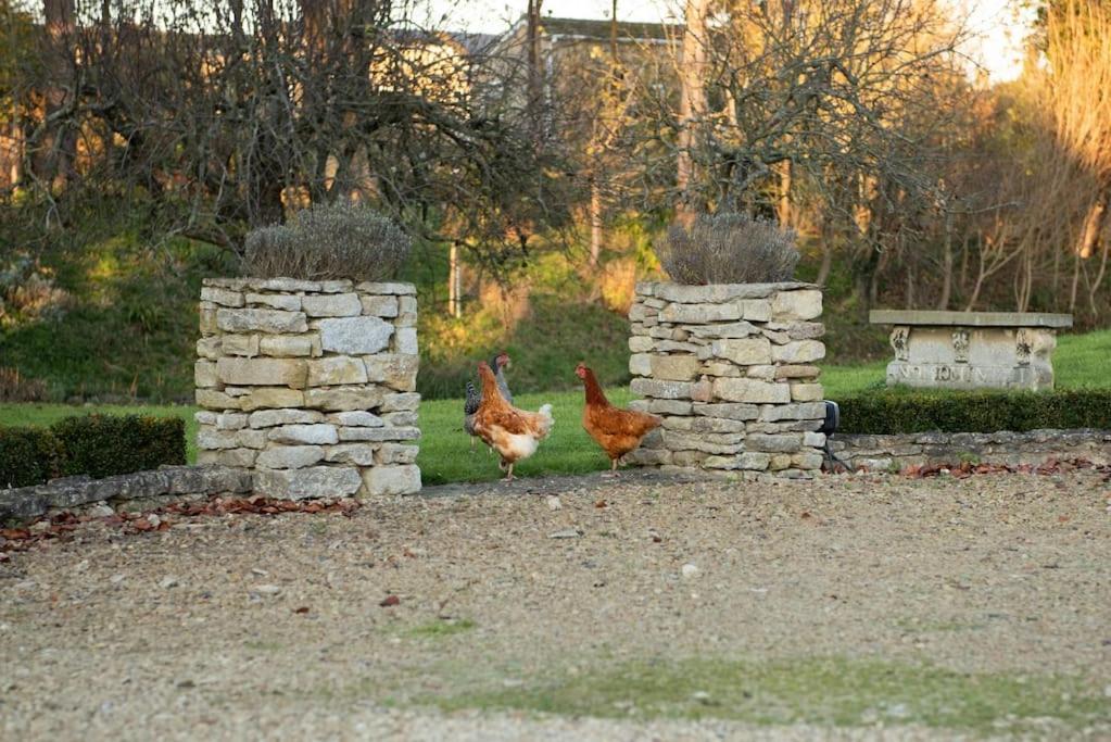 Dove House Cottages - No 1 Oxford Buitenkant foto